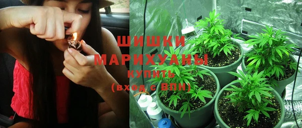 крисы Балахна