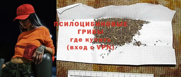 крисы Балахна